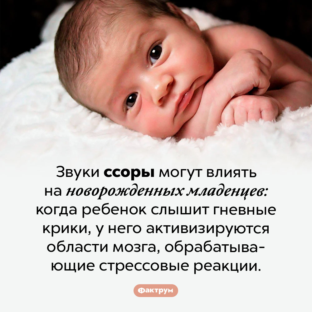 Звуки ссоры могут влиять на новорожденных младенцев. Звуки ссоры могут влиять на новорожденных младенцев: когда ребенок слышит гневные крики, у него активизируются области мозга, обрабатывающие стрессовые реакции.