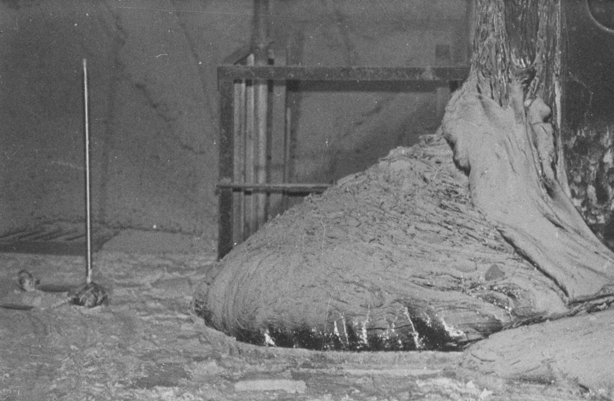 Chernobyl &#8220;Elephants leg&#8221;