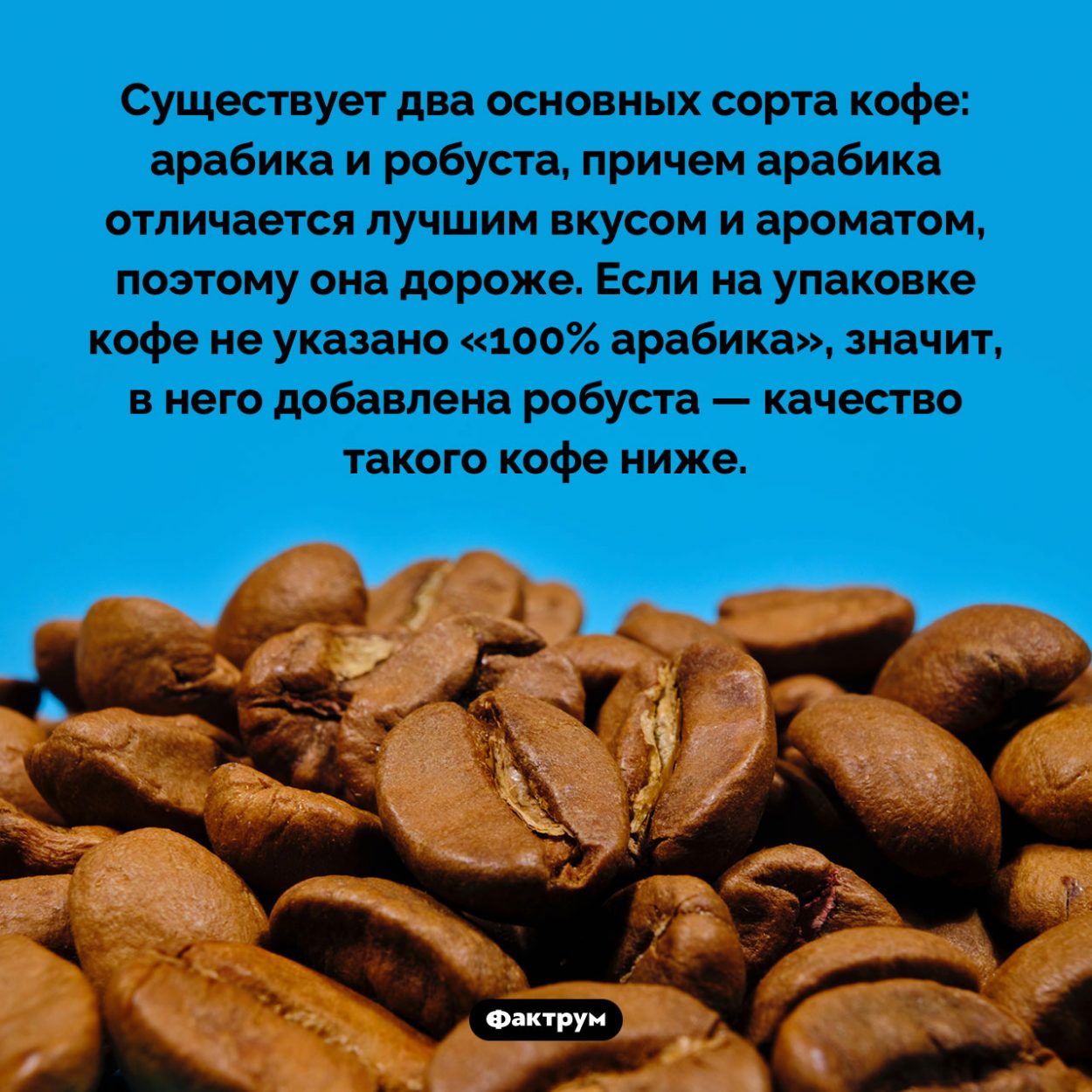 Арабика и робуста. Существует два основных сорта кофе: арабика и робуста, причем арабика отличается лучшим вкусом и ароматом, поэтому она дороже. Если на упаковке кофе не указано «100% арабика», значит, в него добавлена робуста — качество такого кофе ниже.