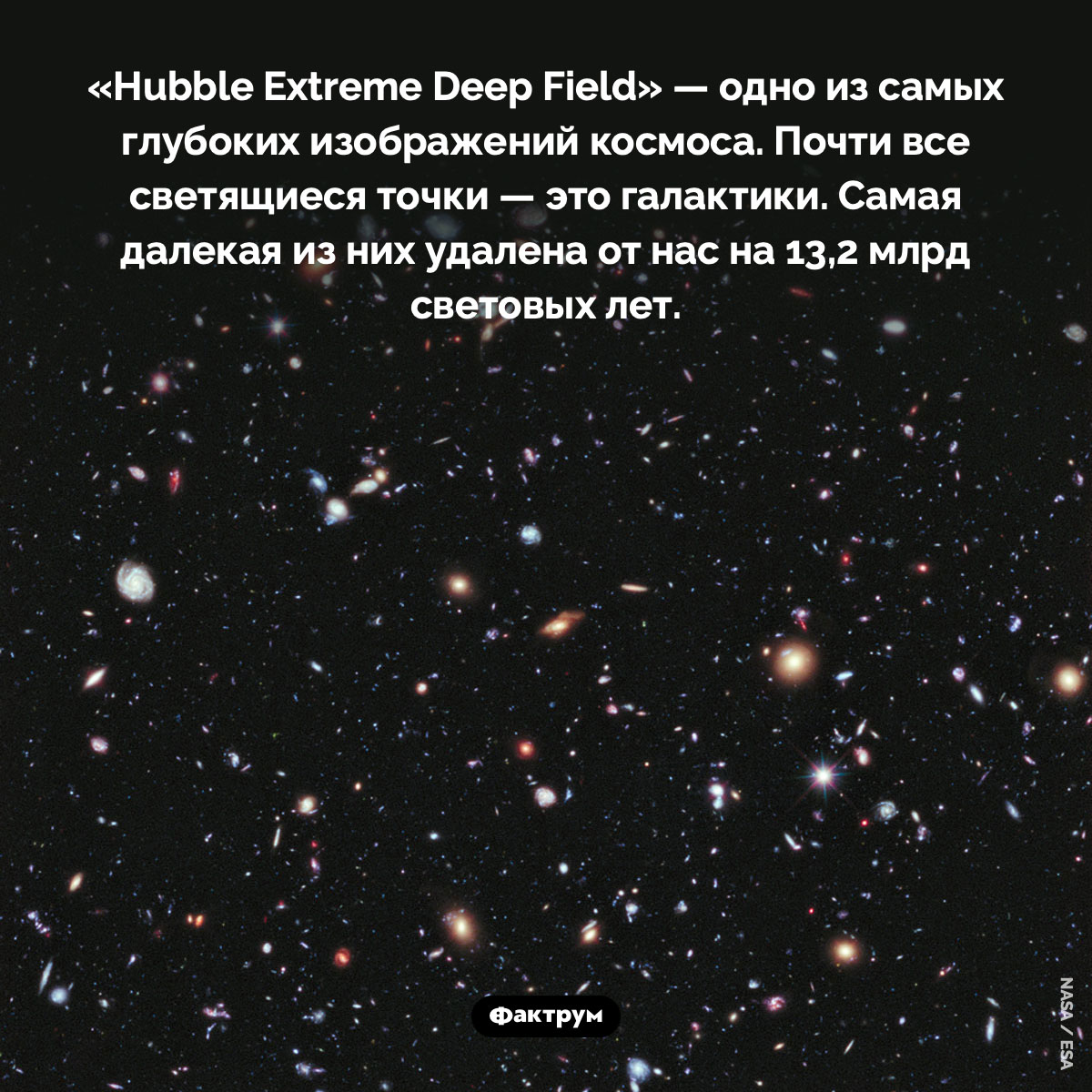 Самые дальние галактики, сфотографированные Хабблом. «Hubble Extreme Deep Field» — одно из самых глубоких изображений космоса. Почти все светящиеся точки — это галактики. Самая далекая из них удалена от нас на 13,2 млрд световых лет.