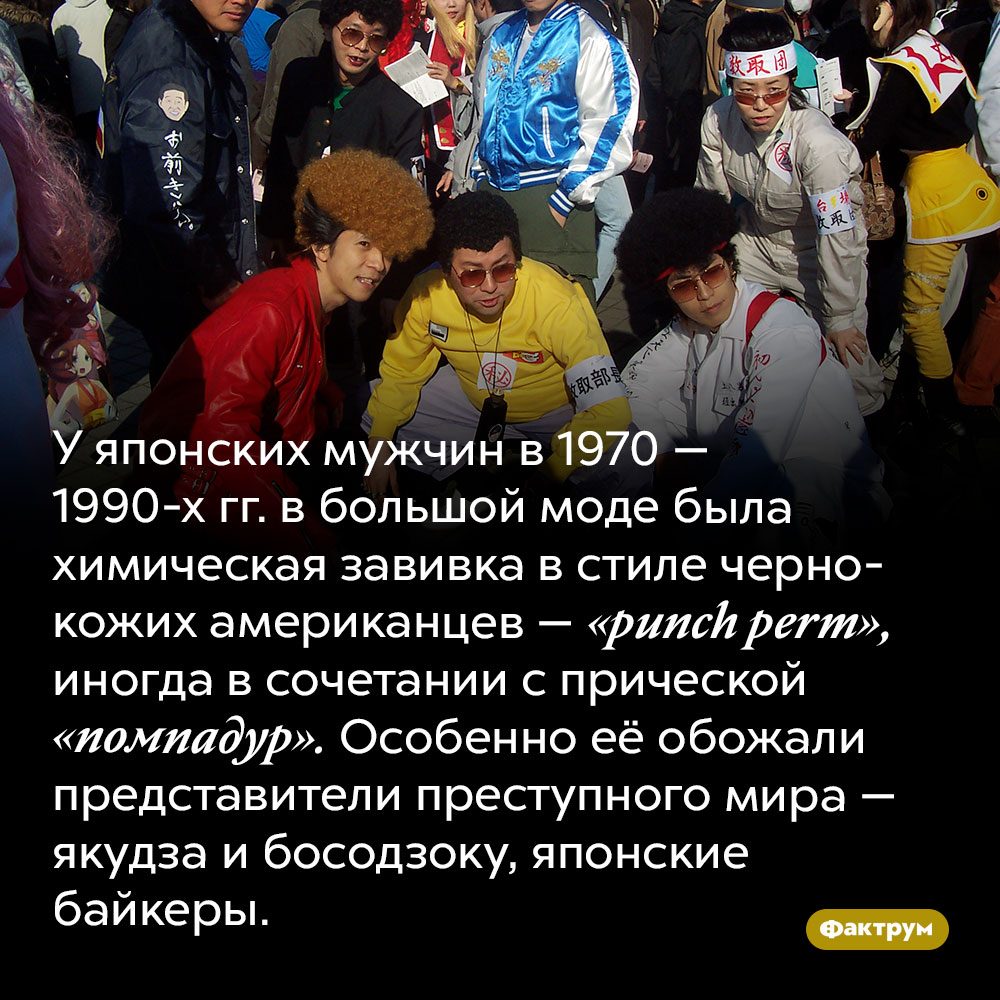 Японские мафиози любят химзавивку. У японских мужчин в 1970 — 1990-х гг. в большой моде была химическая завивка в стиле чернокожих американцев — <em>«punch perm»,</em> иногда в сочетании с прической «помпадур». Особенно её обожали представители преступного мира — якудза и босодзоку, японские байкеры.