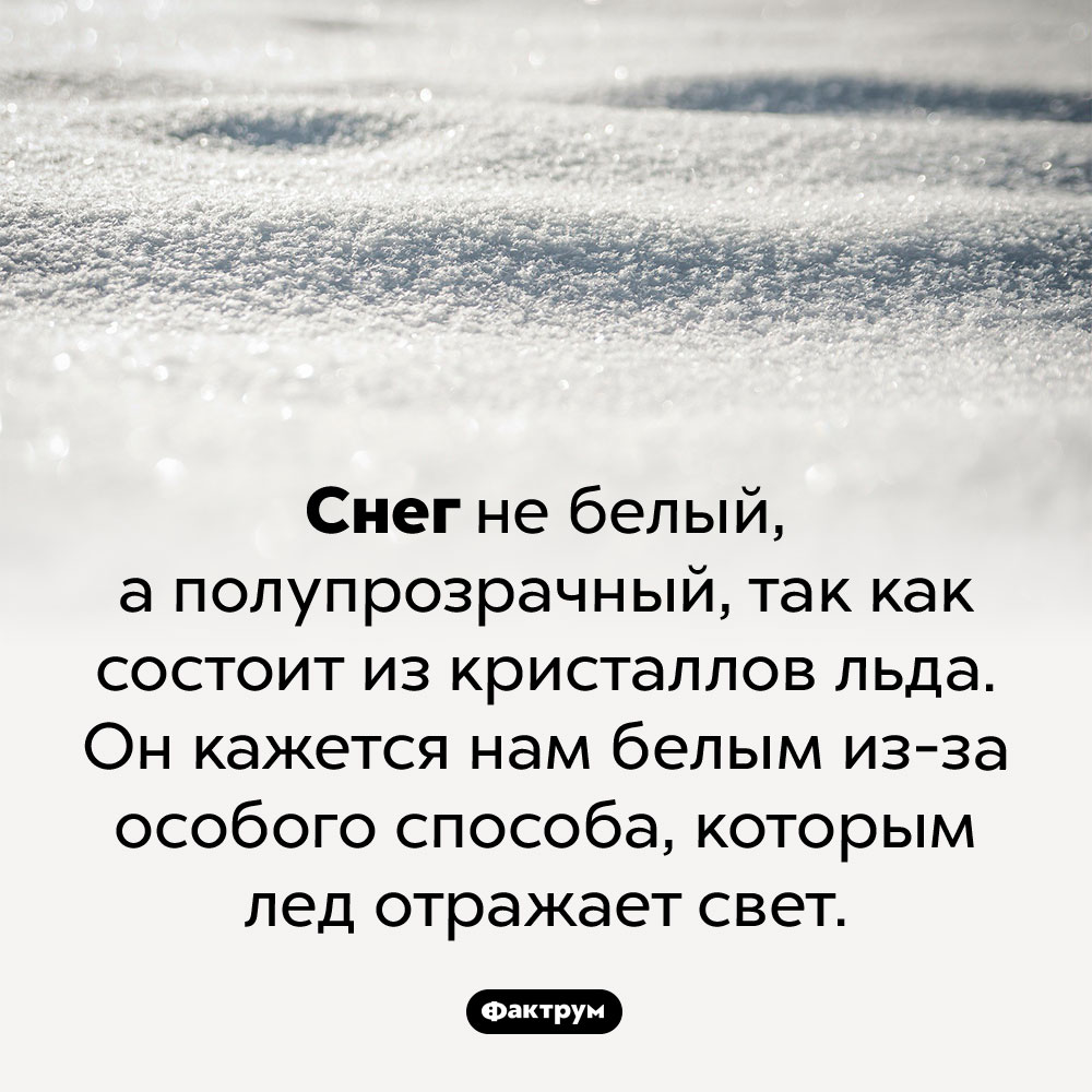 Снег не белый, а полупрозрачный. Снег не белый, а полупрозрачный, так как состоит из кристаллов льда. Он кажется нам белым из-за особого способа, которым лед отражает свет.