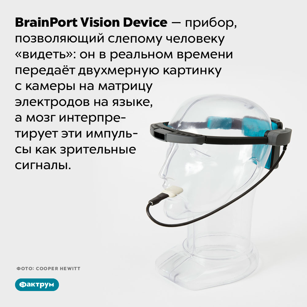 Зрительный аппарат. <em>BrainPort Vision Device —</em> прибор, позволяющий слепому человеку «видеть»: он в реальном времени передаёт двухмерную картинку с камеры на матрицу электродов на языке, а мозг интерпретирует эти импульсы как зрительные сигналы.