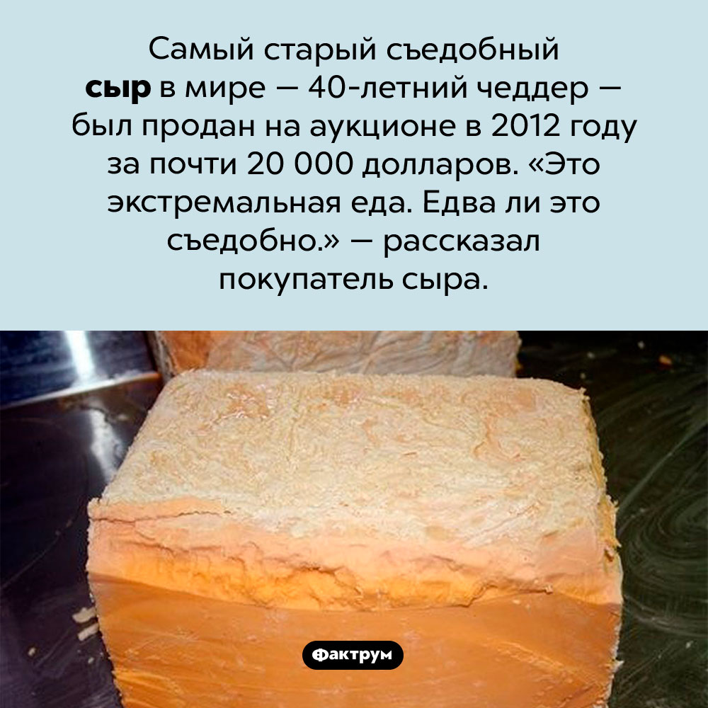 Самый старый съедобный сыр. Самый старый съедобный сыр в мире — 40-летний чеддер — был продан на аукционе в 2012 году за почти 20 000 долларов. «Это экстремальная еда. Едва ли это съедобно.» — рассказал покупатель сыра.