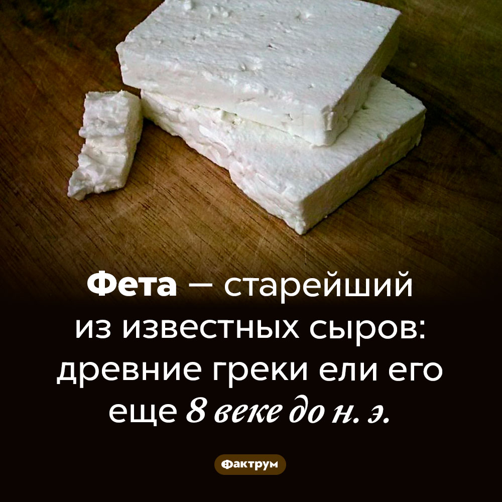 Самый древний сыр. Фета — старейший из известных сыров: древние греки ели его еще 8 веке до н. э.
