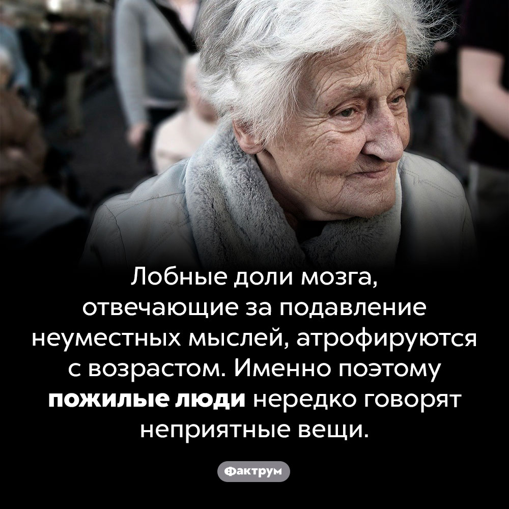 Почему пожилые люди говорят неприятные вещи. Лобные доли мозга, отвечающие за подавление неуместных мыслей, атрофируются с возрастом. Именно поэтому пожилые люди нередко говорят неприятные вещи.