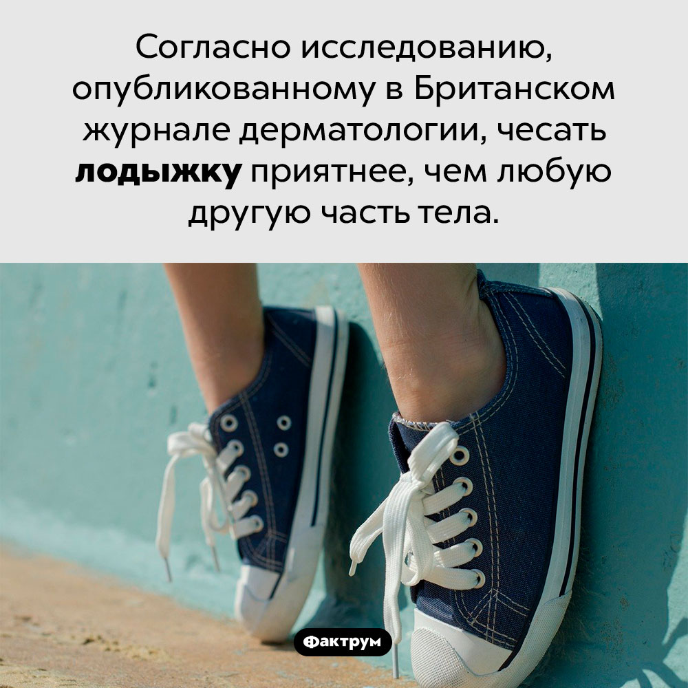 Что приятнее всего чесать. Согласно исследованию, опубликованному в Британском журнале дерматологии, чесать лодыжку приятнее, чем любую другую часть тела.