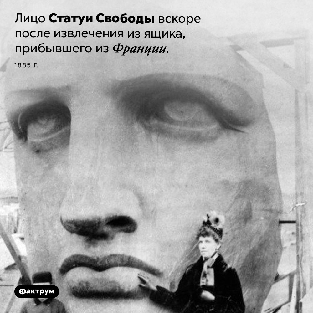 Распаковка Статуи Свободы. Лицо Статуи Свободы вскоре после извлечения из ящика, прибывшего из Франции. 1885 год.
