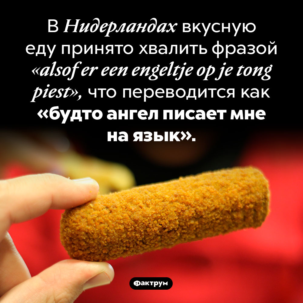 Как похвалить еду в Нидерландах. В Нидерландах вкусную еду принято хвалить фразой <em>«alsof er een engeltje op je tong piest»,</em> что переводится как «будто ангел писает мне на язык».