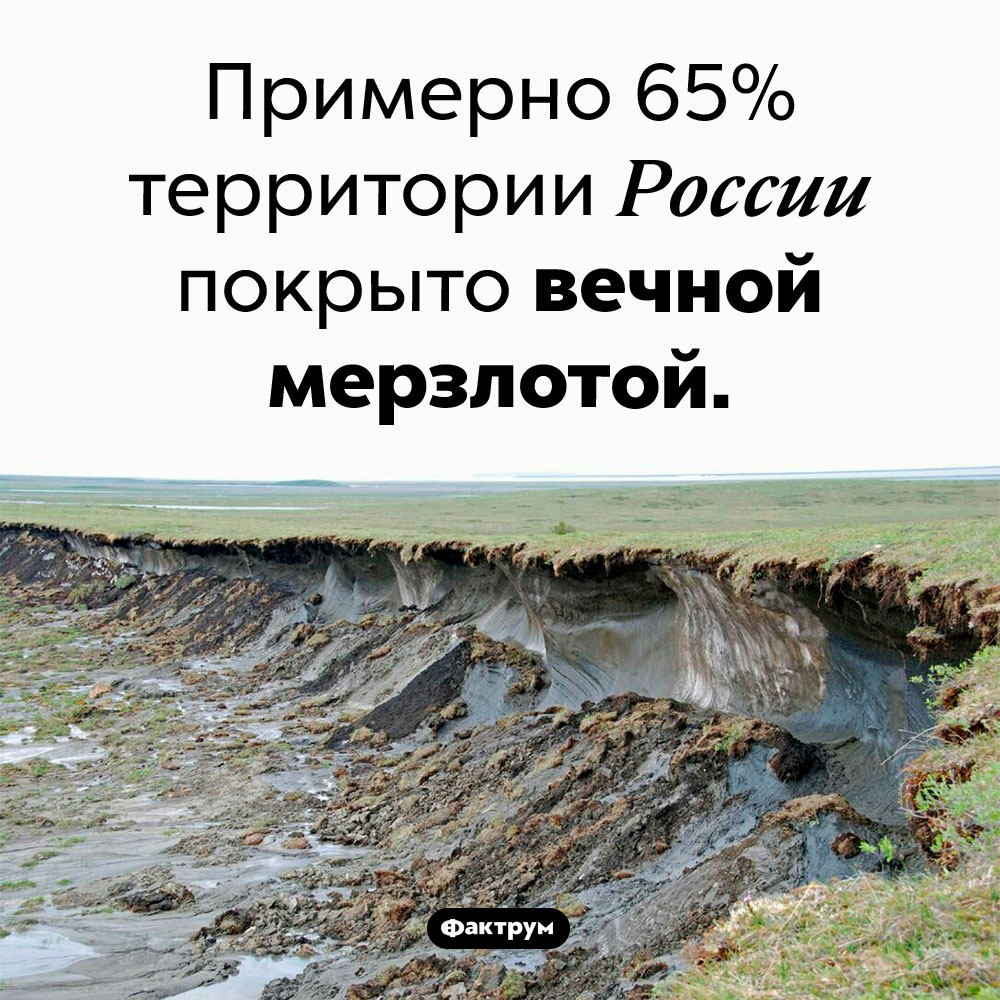 Сколько в России вечной мерзлоты. Примерно 65% территории России покрыто вечной мерзлотой.