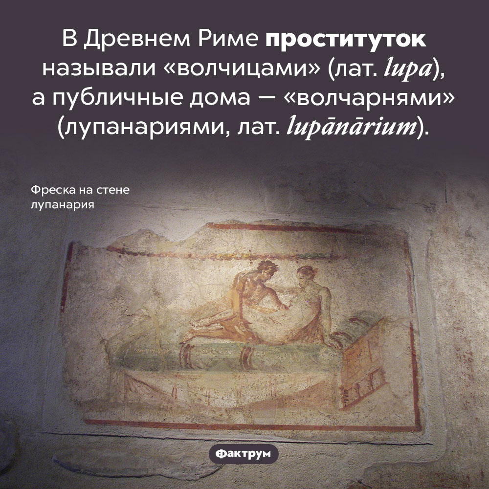 Кого в Древнем Риме звали «волчицами». В Древнем Риме проституток называли «волчицами» (лат. <em>lupa</em>), а публичные дома — «волчарнями» (лупанариями, лат. <em>lupānārium</em>).
