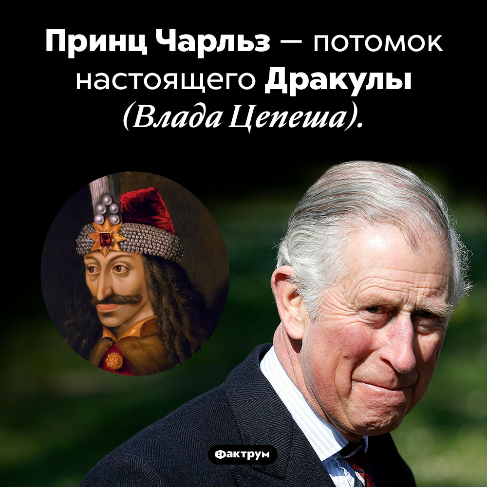 Что общего между Дракулой и принцем Чарльзом. Принц Чарльз — потомок настоящего Дракулы (Влада Цепеша).