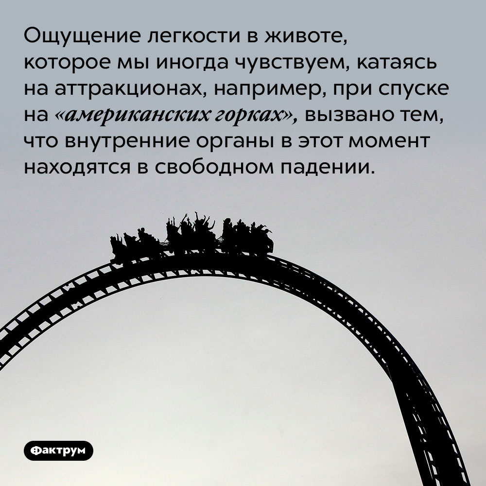 Странное чувство в животе во время катания на американских горках. Ощущение легкости в животе, которое мы иногда чувствуем, катаясь на аттракционах, например, при спуске на «американских горках», вызвано тем, что внутренние органы в этот момент находятся в свободном падении.