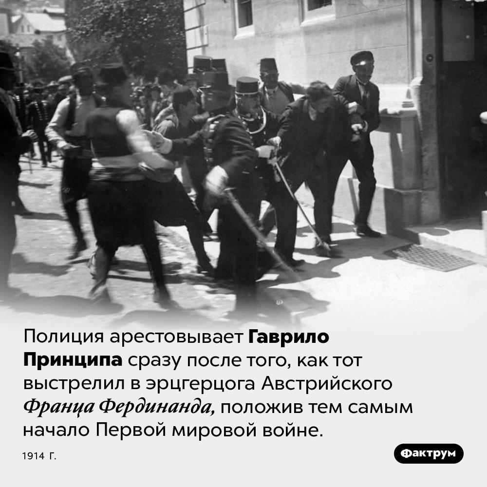 Арест Гаврило Принципа. Полиция арестовывает Гаврило Принципа сразу после того, как тот выстрелил в эрцгерцога Австрийского Франца Фердинанда, положив тем самым начало Первой мировой войне. 1914 год.