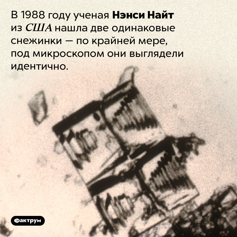 Две одинаковые снежинки. В 1988 году ученая Нэнси Найт из США нашла две одинаковые снежинки — по крайней мере, под микроскопом они выглядели идентично.