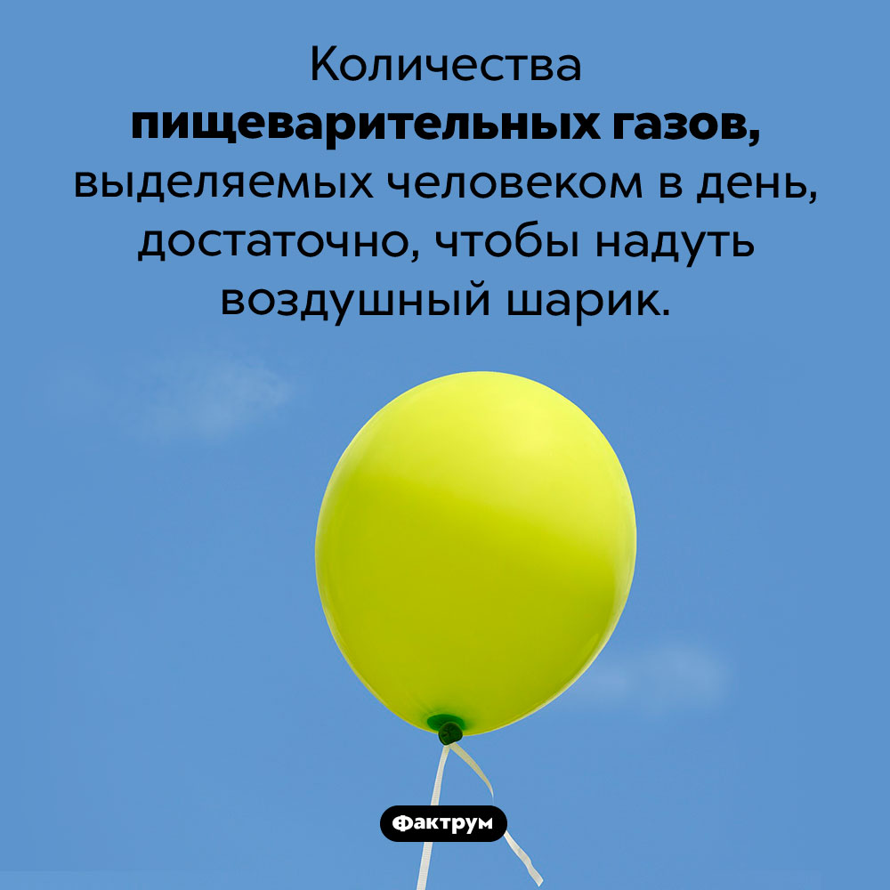 Сколько человек испускает газов в день. Количества пищеварительных газов, выделяемых человеком в день, достаточно, чтобы надуть воздушный шарик. 