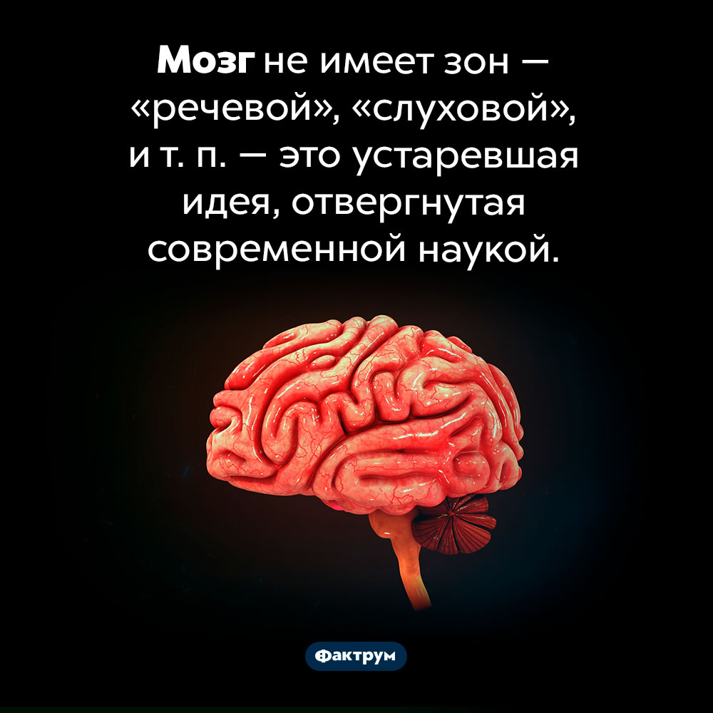 В мозге нет зон. Мозг не имеет зон — «речевой», «слуховой», и т. п. — это устаревшая идея, отвергнутая современной наукой.