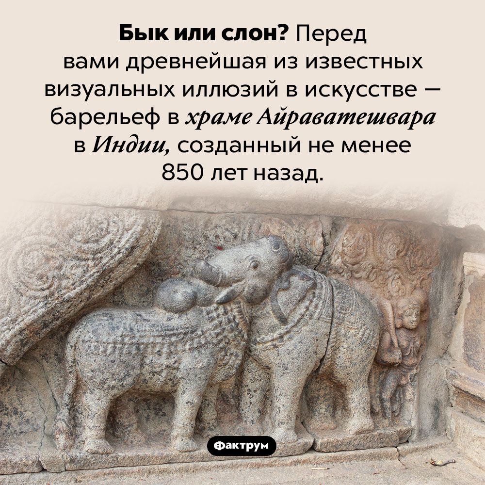 Древнейшая визуальная иллюзия в искусстве. Бык или слон? Перед вами древнейшая из известных визуальных иллюзий в искусстве — барельеф в храме Айраватешвара в Индии, созданный не менее 850 лет назад.