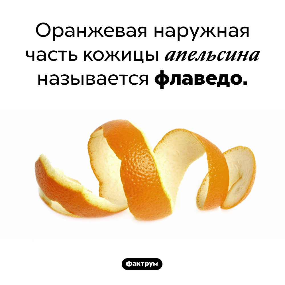 Как называется апельсиновая кожица. Оранжевая наружная часть кожицы апельсина называется флаведо.