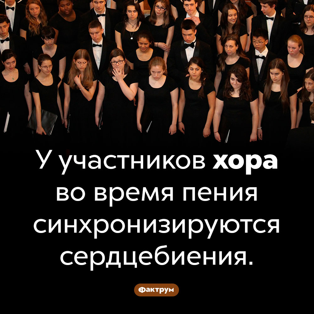 Сердечный унисон. У участников хора во время пения синхронизируются сердцебиения.