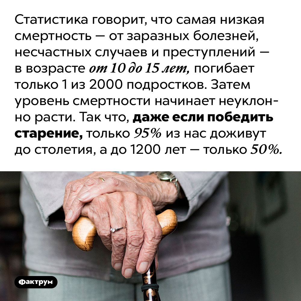 Если бы мы не умирали от старости, то все равно не были бы бессмертными. Статистика говорит, что самая низкая смертность — от заразных болезней, несчастных случаев и преступлений — в возрасте от 10 до 15 лет, погибает только 1 из 2000 подростков. Затем уровень смертности начинает неуклонно расти. Так что, даже если победить старение, только 95% из нас доживут до столетия, а до 1200 лет — только 50%.