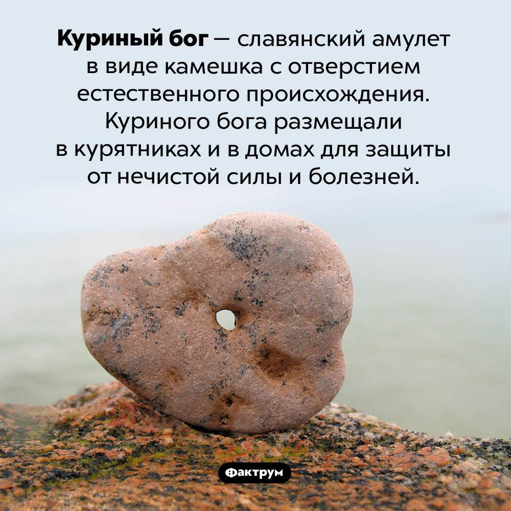 Куриный бог. Куриный бог — славянский амулет в виде камешка с отверстием естественного происхождения. Куриного бога размещали в курятниках и в домах для защиты от нечистой силы и болезней.