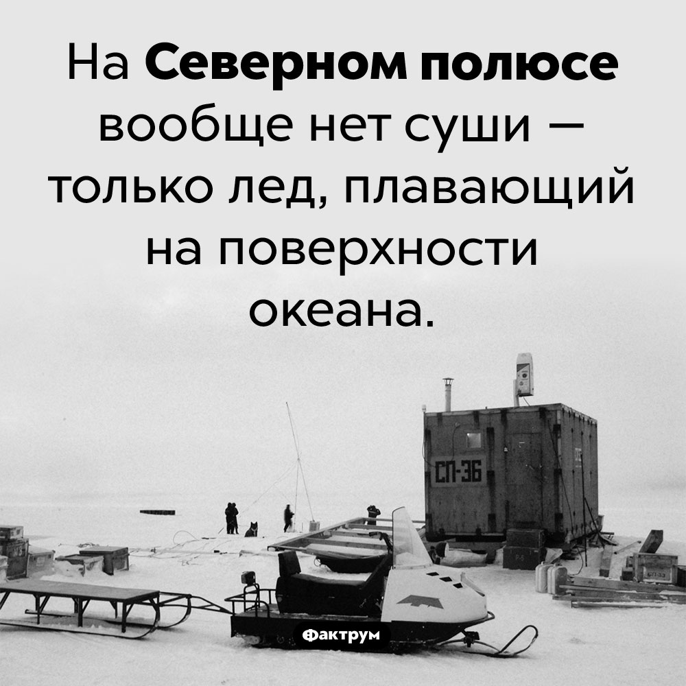 На Северном полюсе нет суши. На Северном полюсе вообще нет суши — только лед, плавающий на поверхности океана.