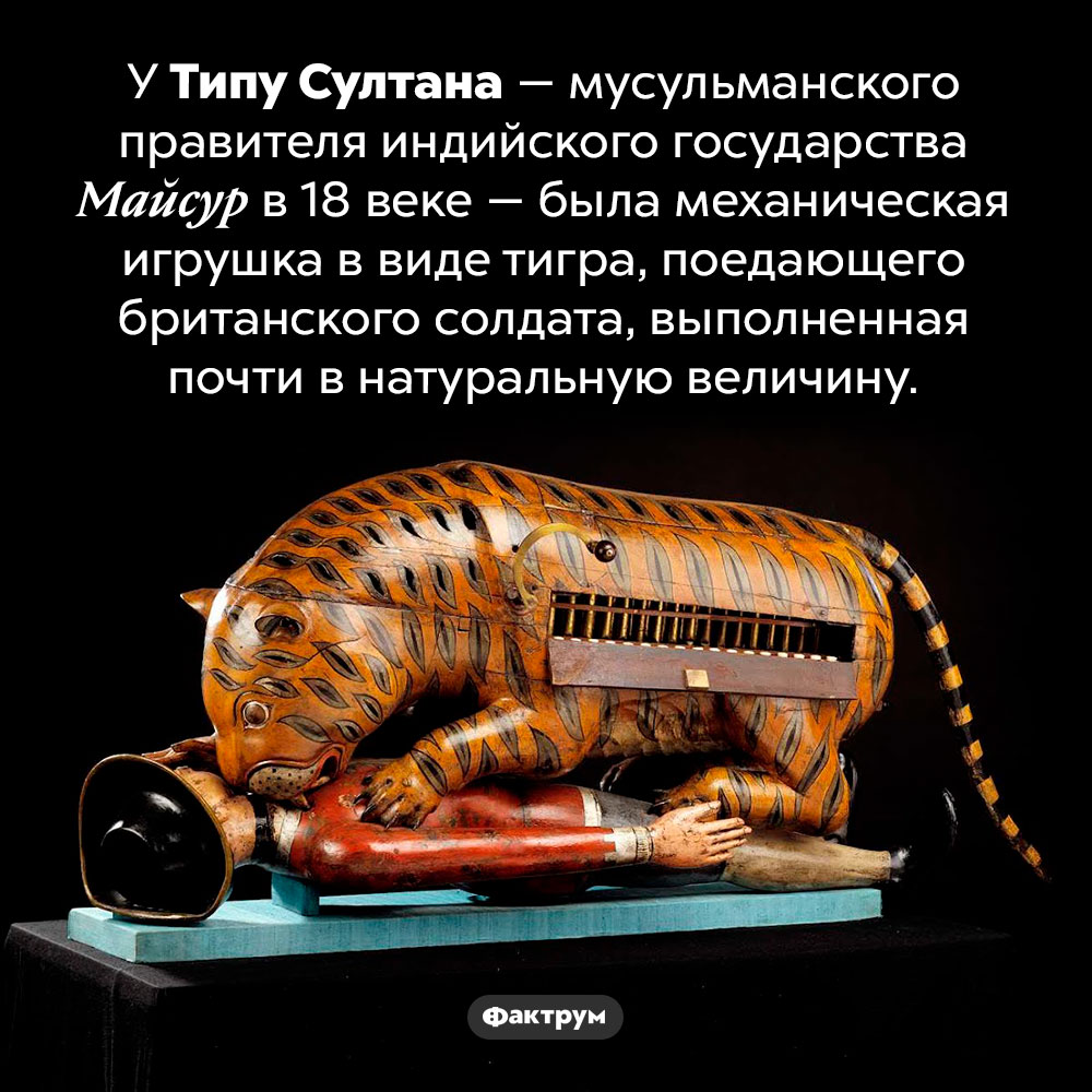 Тигр Типу. У Типу Султана — мусульманского правителя индийского государства Майсур в 18 веке — была механическая игрушка в виде тигра, поедающего британского солдата, выполненная почти в натуральную величину.