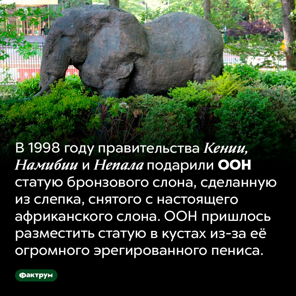 Статуя слона для Организации Объединенных Наций. В 1998 году правительства Кении, Намибии и Непала подарили ООН статую бронзового слона, сделанную из слепка, снятого с настоящего африканского слона. ООН пришлось разместить статую в кустах из-за её огромного эрегированного пениса.
