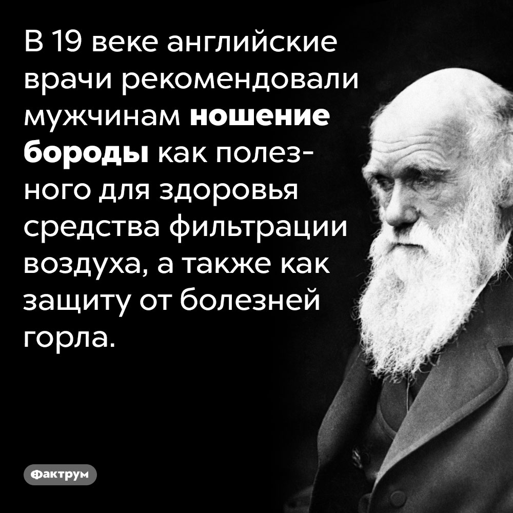 Зачем врачи рекомендовали мужчинам бороду. В 19 веке английские врачи рекомендовали мужчинам ношение бороды как полезного для здоровья средства фильтрации воздуха, а также как защиту от болезней горла.
