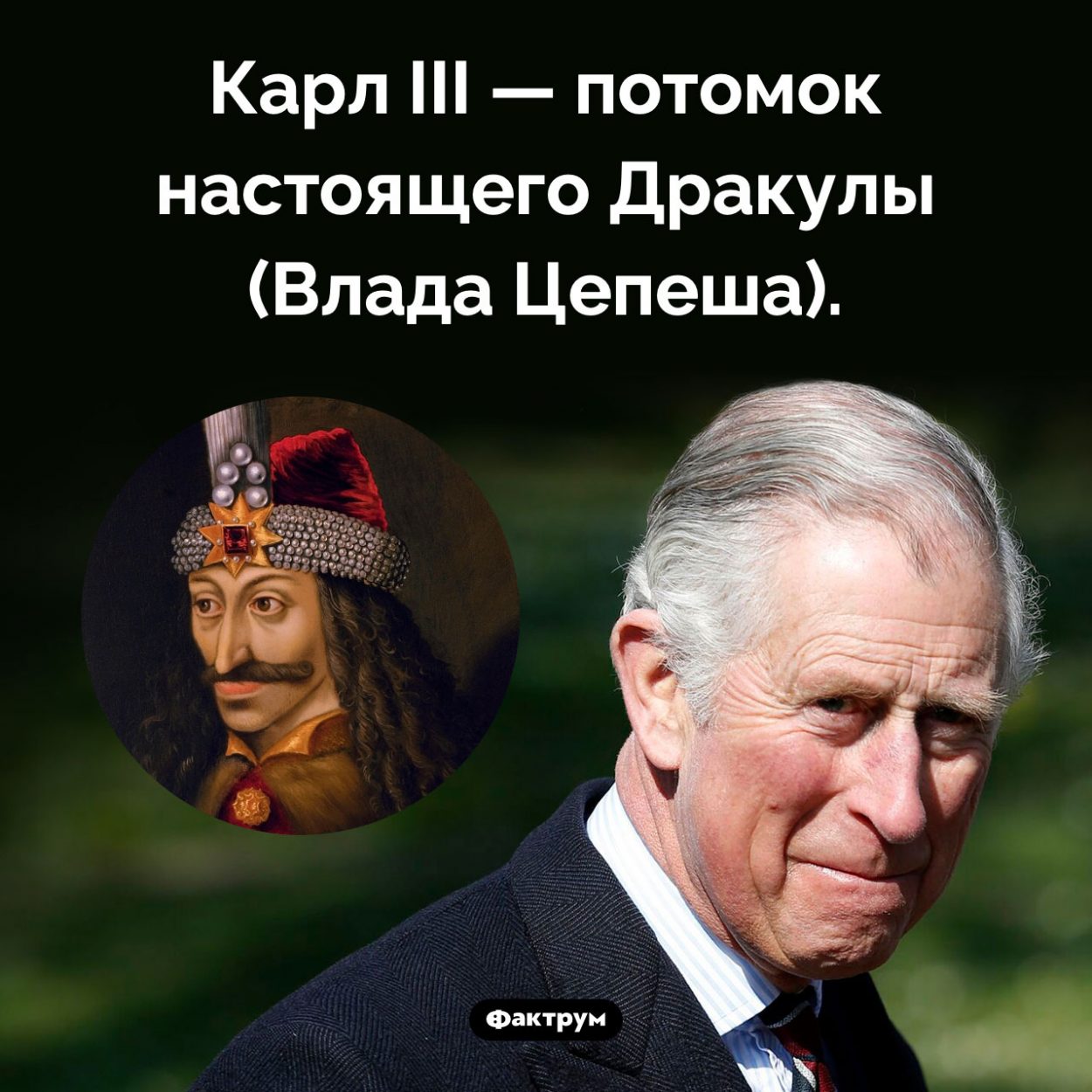 Что общего между Дракулой и Карлом III. Карл III — потомок настоящего Дракулы (Влада Цепеша).