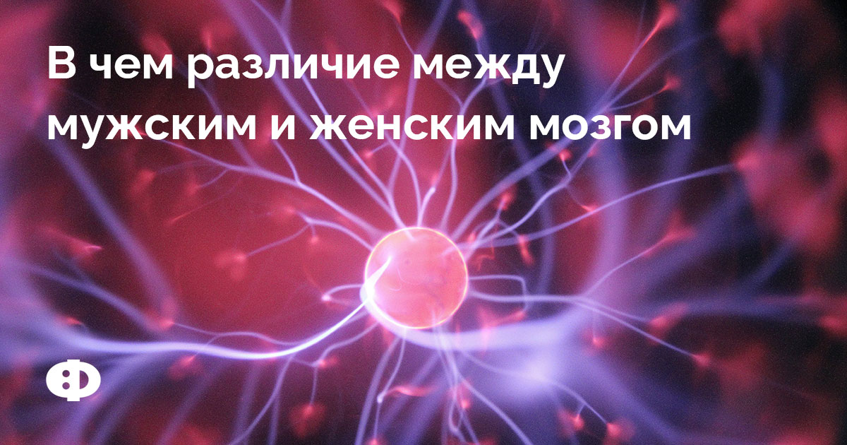 В чем различие между мужским и женским мозгом