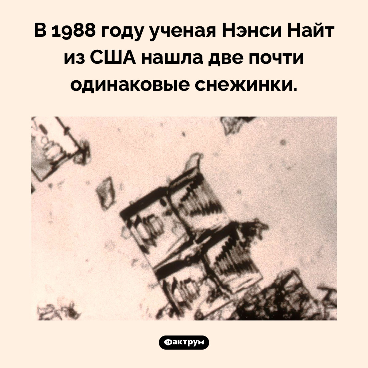 Две одинаковые снежинки. В 1988 году ученая Нэнси Найт из США нашла две почти одинаковые снежинки.