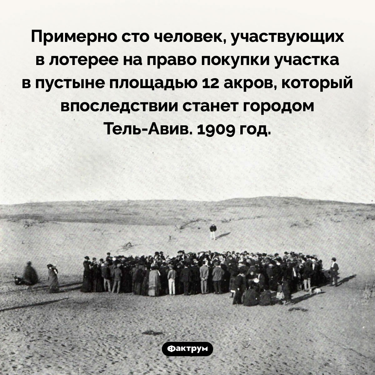 Участок под Тель-Авив. Примерно сто человек, участвующих в лотерее на право покупки участка в пустыне площадью 12 акров, который впоследствии станет городом Тель-Авив. 1909 год.