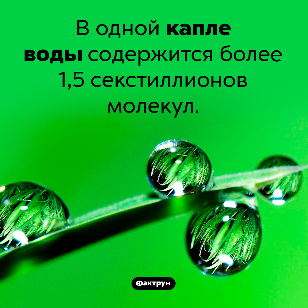 Сколько молекул в капле воды. В одной капле воды содержится более 1,5 секстиллионов молекул.