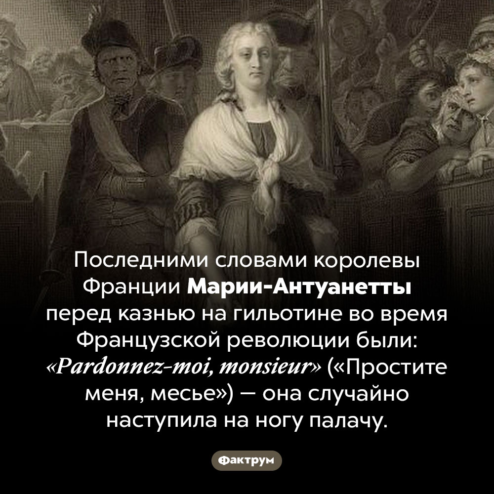 Вежливость на гильотине. Последними словами королевы Франции Марии-Антуанетты перед казнью на гильотине во время Французской революции были: <em>«Pardonnez-moi, monsieur»</em> («Простите меня, месье») — она случайно наступила на ногу палачу.