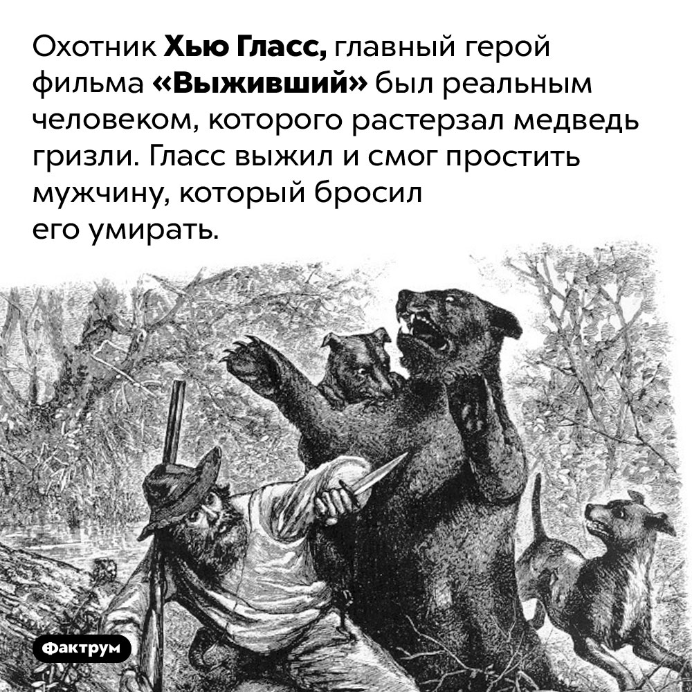 Охотник, который выжил. Охотник Хью Гласс, главный герой фильма «Выживший» был реальным человеком, которого растерзал медведь гризли. Гласс выжил и смог простить мужчину, который бросили его умирать.