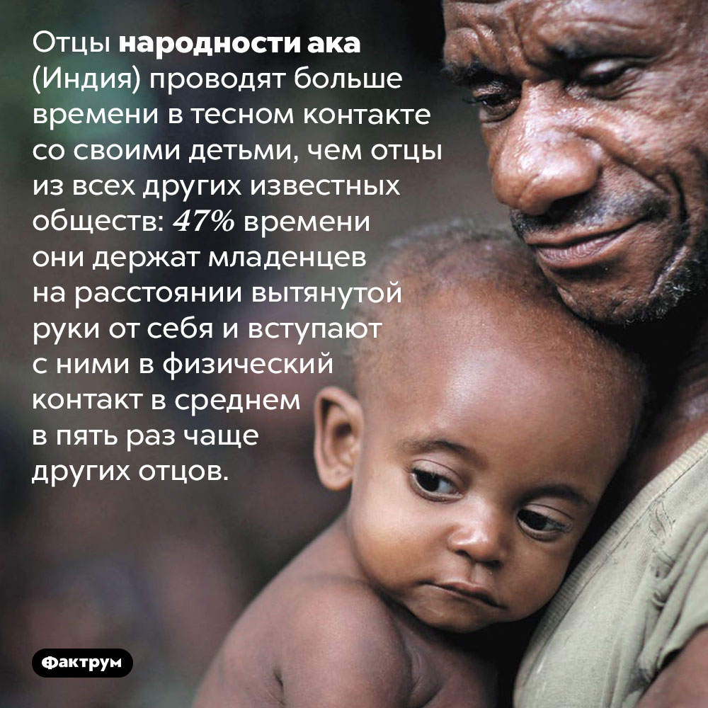 Самые заботливые отцы в мире. Отцы народности ака (Индия) проводят больше времени в тесном контакте со своими детьми, чем отцы из всех других известных обществ: 47% времени они держат младенцев на расстоянии вытянутой руки от себя и вступают с ними в физический контакт в среднем в пять раз чаще других отцов.