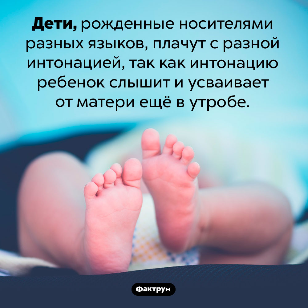 Младенцы плачут с интонациями мам. Дети, рожденные носителями разных языков, плачут с разной интонацией, так как интонацию ребенок слышит и усваивает от матери ещё в утробе.