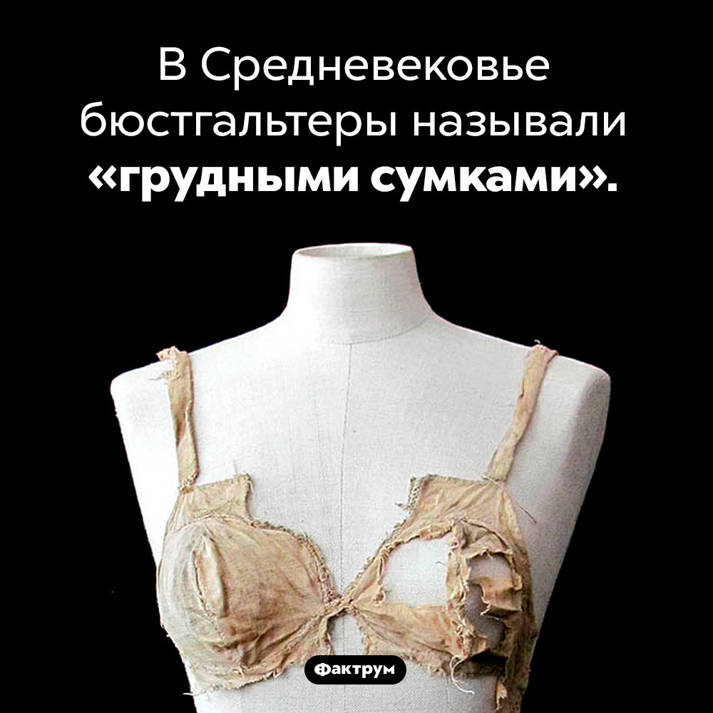Грудные сумки. В Средневековье бюстгальтеры называли «грудными сумками».