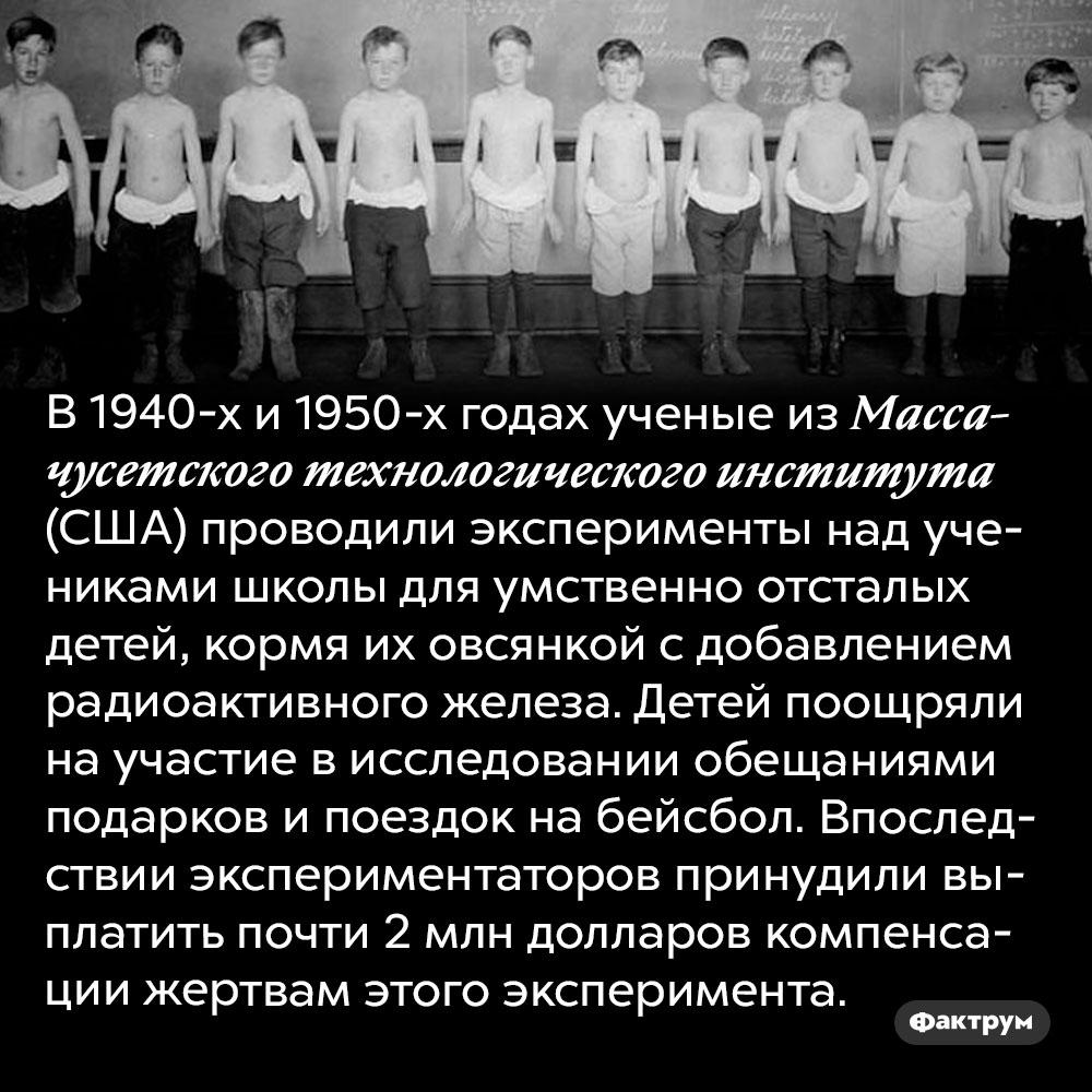 Радиоактивная овсянка