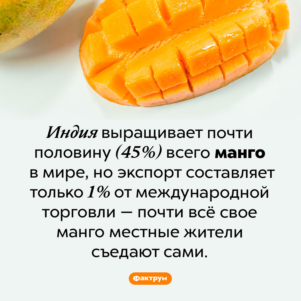 Индия не делится манго. Индия выращивает почти половину (45%) всего манго в мире, но экспорт составляет только 1% от международной торговли — почти всё свое манго местные жители съедают сами.