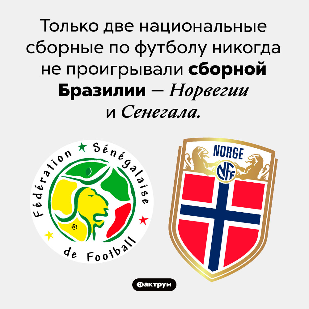 Они не проиграли Бразилии. Только две национальные сборные по футболу никогда не проигрывали сборной Бразилии — Норвегии и Сенегала.