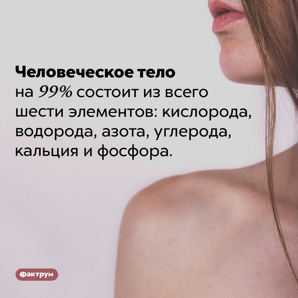 Из чего «сделаны» наши тела