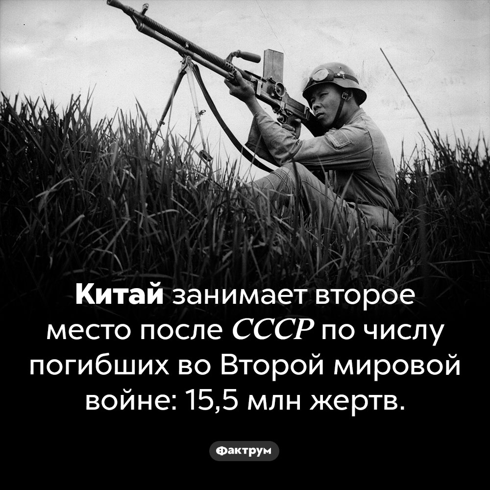 Сколько китайцев погибло во Второй мировой войне. Китай занимает второе место после СССР по числу погибших во Второй мировой войне: 15,5 млн жертв.