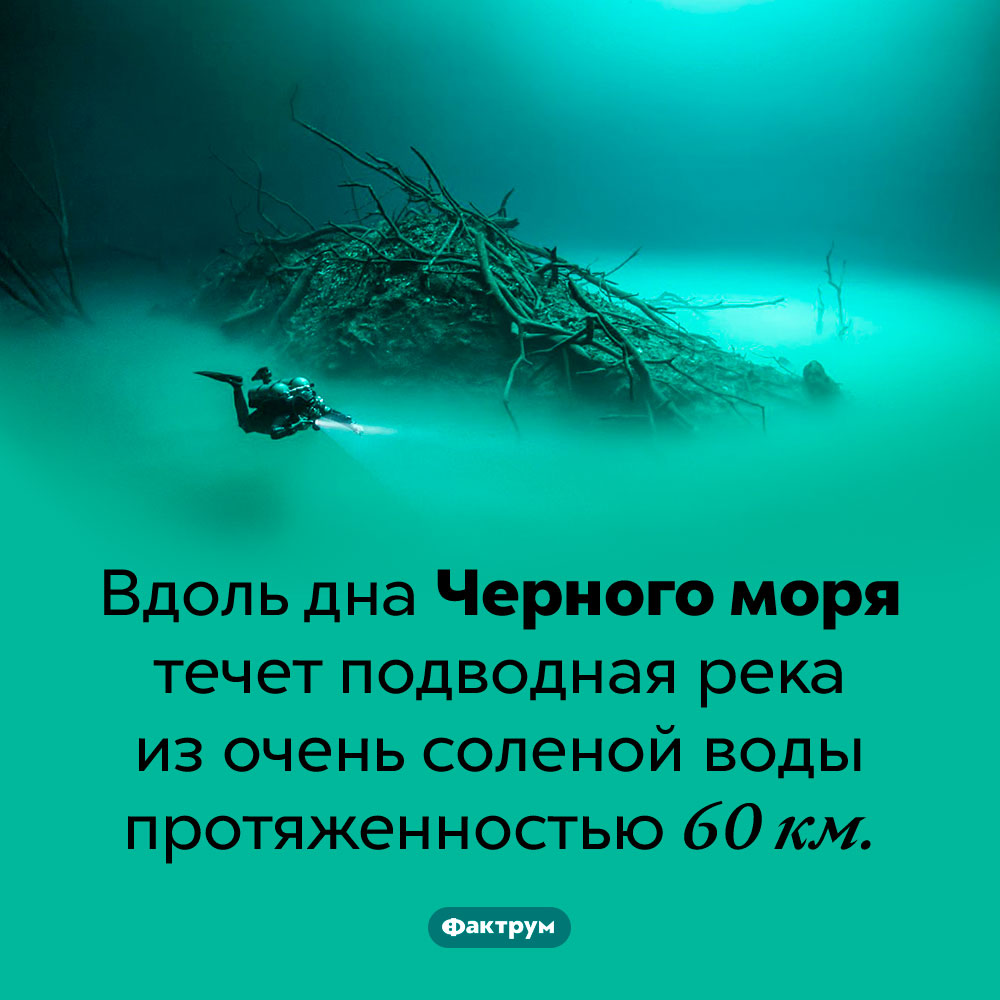 Подводная река на дне Черного моря. Вдоль дна Черного моря течет подводная река из очень соленой воды протяженностью 60 км.