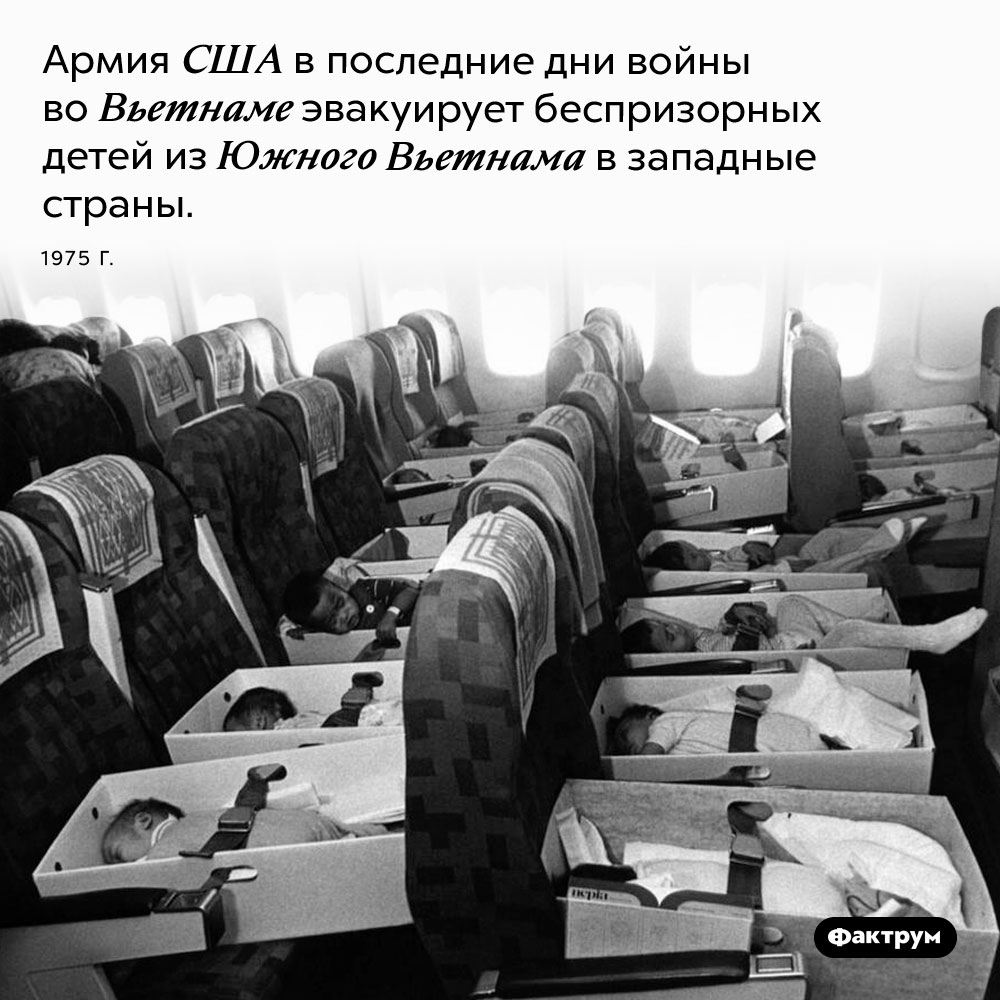Операция «Babylift». Армия США в последние дни войны во Вьетнаме эвакуирует беспризорных детей из Южного Вьетнама в западные страны. 1975 год.