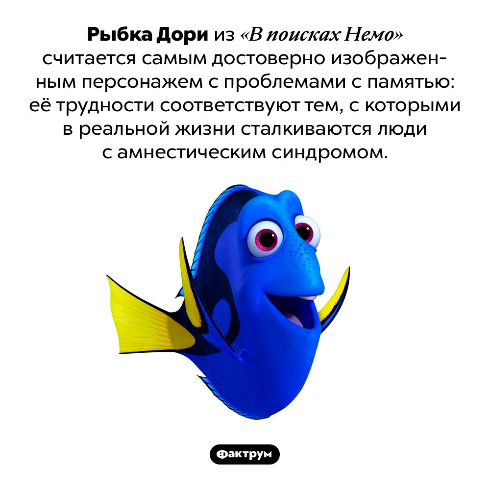 Проблемы с памятью ​​рыбки Дори