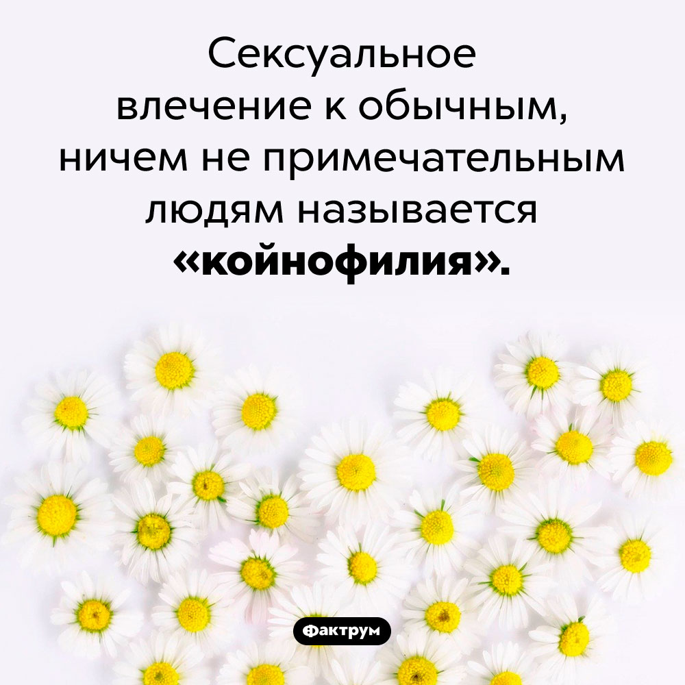 Любовь к обычным людям имеет название