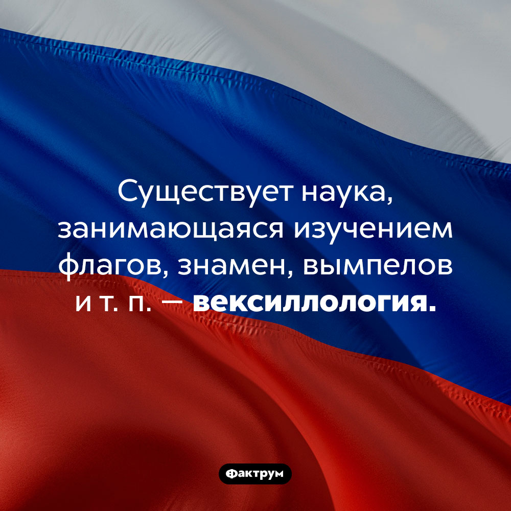 Чем занимается вексиллология. Существует наука, занимающаяся изучением флагов, знамен, вымпелов <nobr>и т. п.</nobr> — вексиллология.